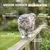 Museau & Co | Propolis-Spray | Mundpflege & Hautpflege | Hund & Katze Museau & Co | Propolis-Spray | Mundpflege & Hautpflege | Hund & Katze