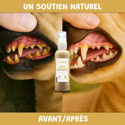 Spray Propolis - hygiène bucco-dentaire - Gingivite - Chien et Chat - 100ml