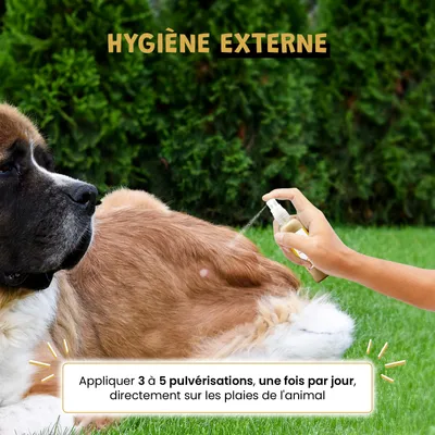 Spray Propolis - hygiène bucco-dentaire - Gingivite - Chien et Chat - 100ml