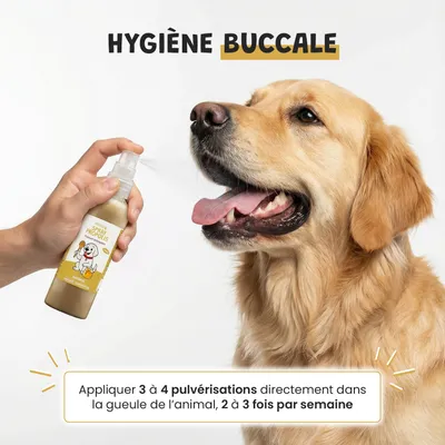 Museau & Co | Spray Propolis | Soin Buccal & Cicatrisant | Chien & Chat