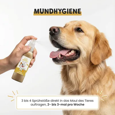 Museau & Co | Propolis-Spray | Mundpflege & Hautpflege | Hund & Katze Museau & Co | Propolis-Spray | Mundpflege & Hautpflege | Hund & Katze