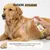 Museau & Co | Propolis-Spray | Mundpflege & Hautpflege | Hund & Katze Museau & Co | Propolis-Spray | Mundpflege & Hautpflege | Hund & Katze