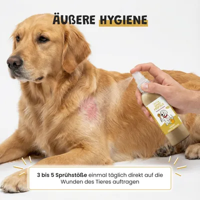 Museau & Co | Propolis-Spray | Mundpflege & Hautpflege | Hund & Katze Museau & Co | Propolis-Spray | Mundpflege & Hautpflege | Hund & Katze