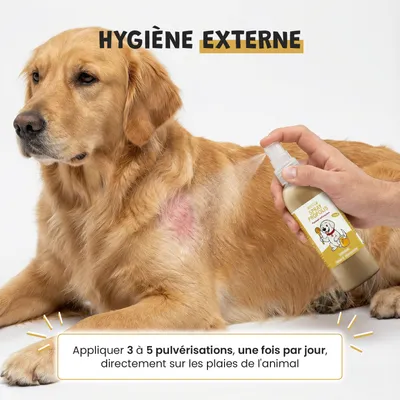 Museau & Co | Spray Propolis | Soin Buccal & Cicatrisant | Chien & Chat