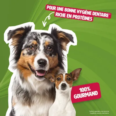 Mon Ami Luki - Lot de 3 - friandises de recompenses 200gr - chiens