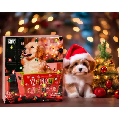 CALENDRIER DE L'AVENT POUR CHIEN - 24 CASES DE FRIANDISES ET DE RECOMPENSES