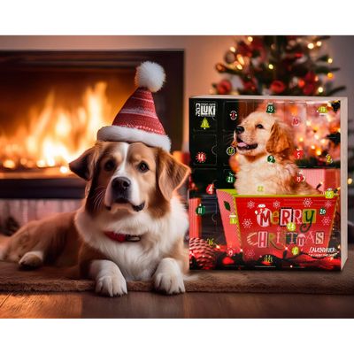 CALENDRIER DE L'AVENT POUR CHIEN - 24 CASES DE FRIANDISES ET DE RECOMPENSES