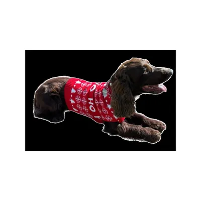 Mon Ami Luki - Pull noel - pour chien - deguisement tricote - festif X