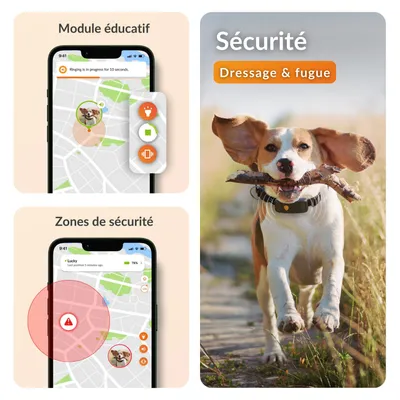 Weenect XT - Collier GPS pour chien, pour les aventures les plus extrêmes