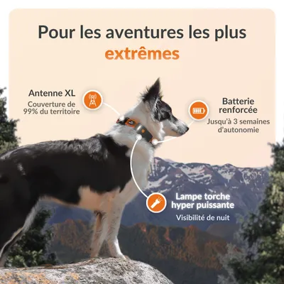 Weenect XT - Collier GPS pour chien, pour les aventures les plus extrêmes