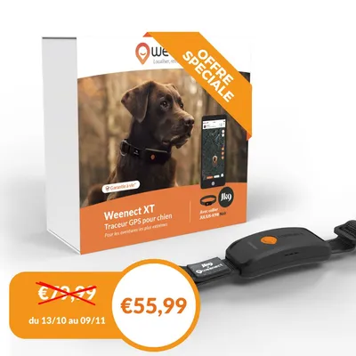 Weenect XT - Collier GPS pour chien, pour les aventures les plus extrêmes
