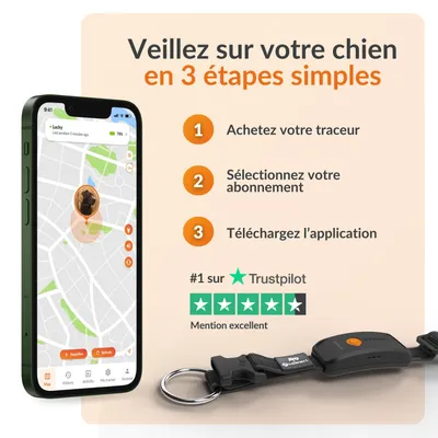 Weenect XT - Collier GPS pour chien, pour les aventures les plus extrêmes