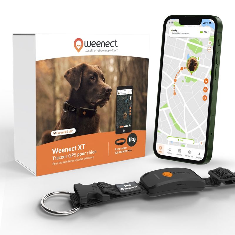 Weenect XT - Collier GPS pour chien, pour les aventures les plus extrêmes