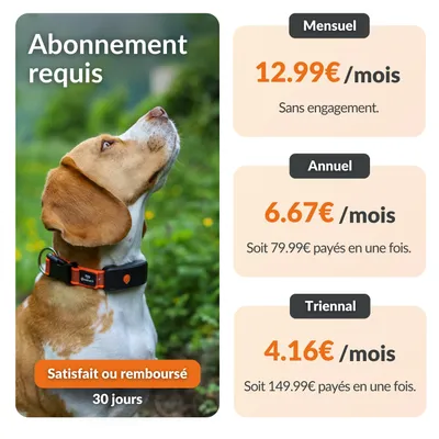 Weenect XT - Collier GPS pour chien, pour les aventures les plus extrêmes