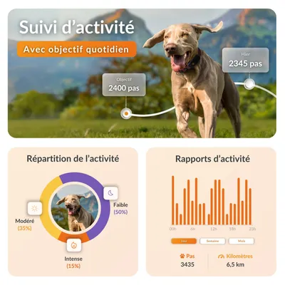 Weenect XT - Collier GPS pour chien, pour les aventures les plus extrêmes