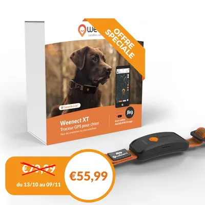 Weenect XT - Collier GPS pour chien, pour les aventures les plus extrêmes