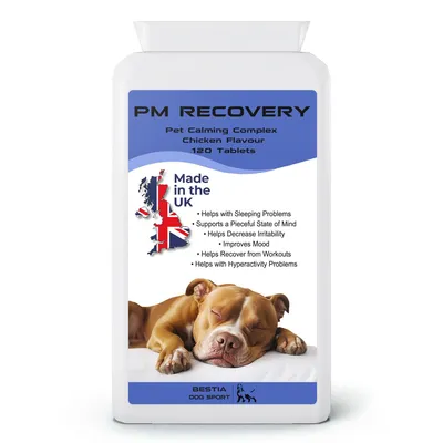 Bestia Dog Sport PM Récupération Bestia Dog Sport PM Récupération