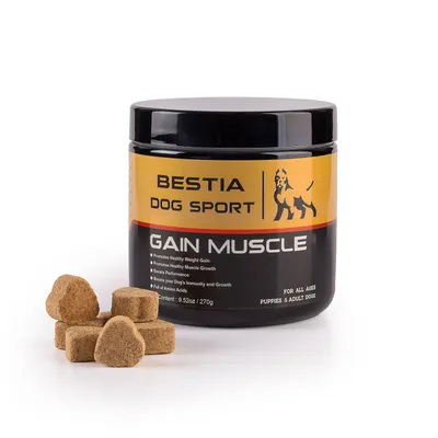 Complément alimentaire pour chien BDS Gain Muscle