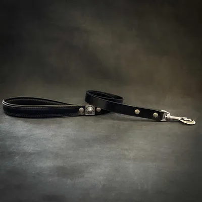 La laisse Eros de 2,5 cm de large en noir La laisse Eros de 2,5 cm de large en noir