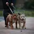 BESTIA DOG SPORT Doppelgriffleine Red Camo BESTIA DOG SPORT Doppelgriffleine Red Camo