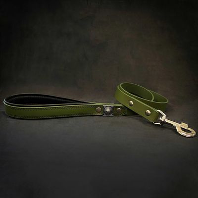 La laisse verte "Eros" de 1 pouce de large