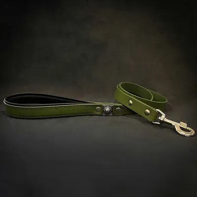 Bestia Custom Dog Gear - Laisse Eros Vert 1inch