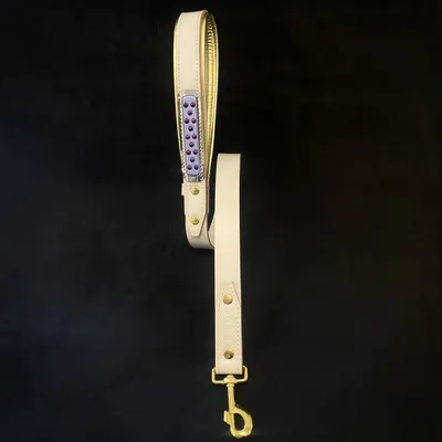 Bestia Custom Dog Gear - Laisse Candy