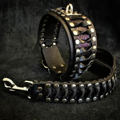 Die Steampunk Leine Die Steampunk Leine