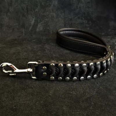 Die Steampunk Leine Die Steampunk Leine