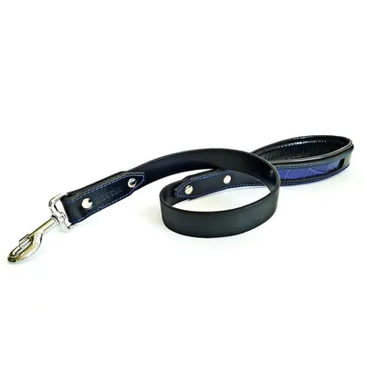 Bestia Custom Dog Gear - Laisse pour Reptiles Noire et Bleu Bestia Custom Dog Gear - Laisse pour Reptiles Noire et Bleu