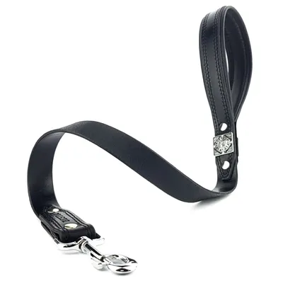 Bestia Custom Dog Gear - Laisse Eros Noir & Noir