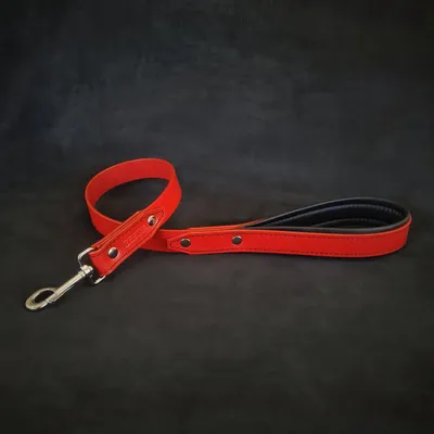 Bestia Custom Dog Gear - Laisse rouge The Style