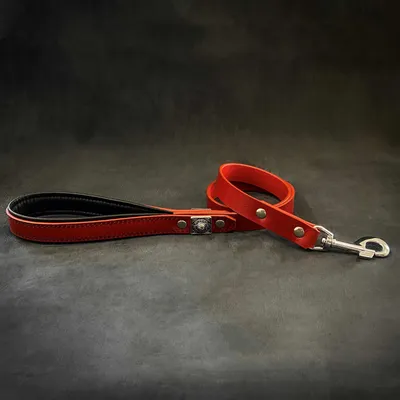 Die Eros Rote Leine 2,5 cm breit Die Eros Rote Leine 2,5 cm breit