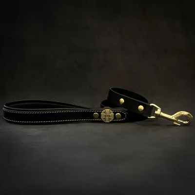 Maximus Gold Leine 2.5 cm breit Maximus Gold Leine 2.5 cm breit