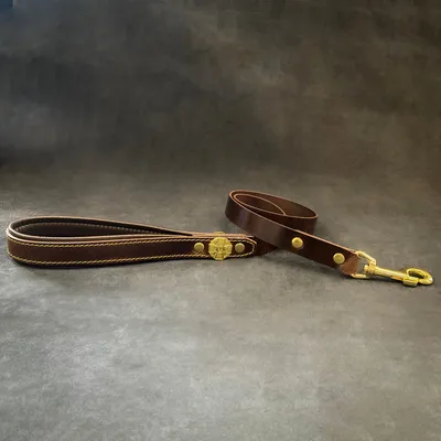 Bestia Custom Dog Gear - Laisse Maximus 1inch