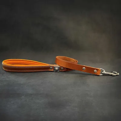 Bestia Custom Dog Gear - Laisse Eros Marron 1inch