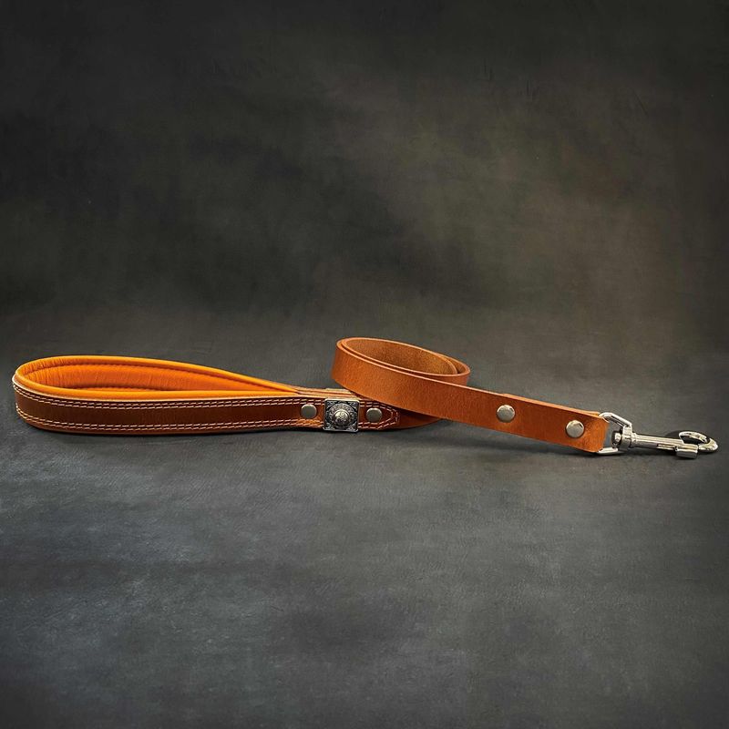 Die Eros braune Leine 2,5 cm breit