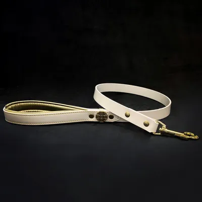 Maximus Gold Leine 2.5 cm breit Maximus Gold Leine 2.5 cm breit