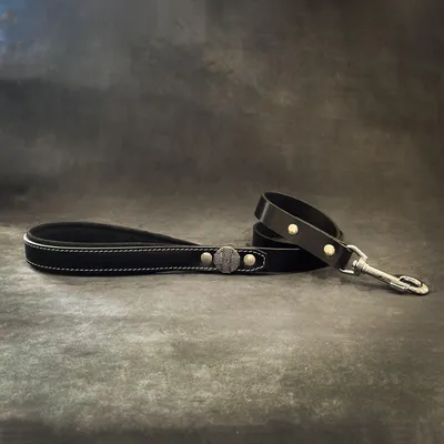 La laisse "Maximus Silver" de 1 pouce