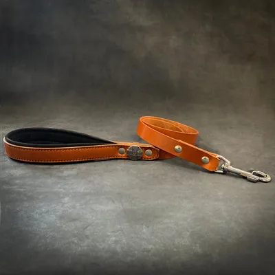 Bestia Custom Dog Gear - Laisse Maximus 1inch Bestia Custom Dog Gear - Laisse Maximus 1inch