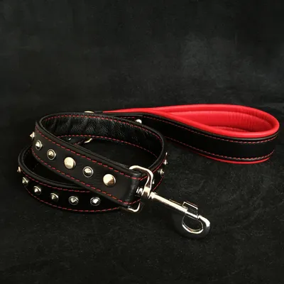 Bestia Custom Dog Gear -Laisse en cuir souple cloutée Noir
