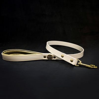 Maximus Gold Leine 2.5 cm breit