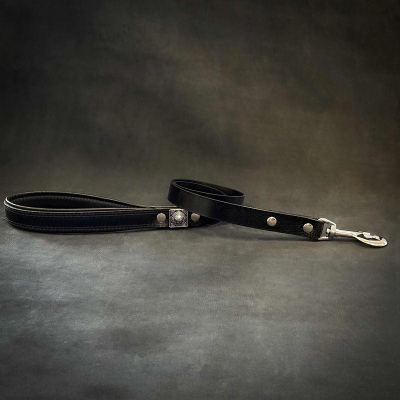 La laisse Eros de 2,5 cm de large en noir