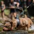 BESTIA DOG SPORT DOPPELGRIFF LEINE BESTIA DOG SPORT DOPPELGRIFF LEINE