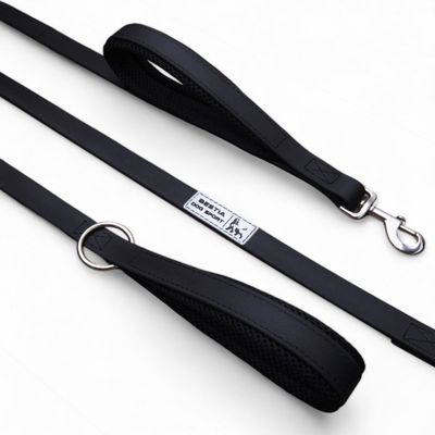 BESTIA CHIEN SPORT