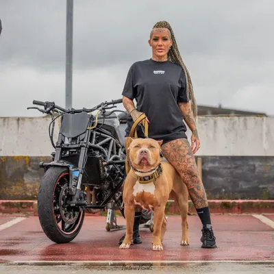 Laisse GripPro BESTIA DOG SPORT Laisse GripPro BESTIA DOG SPORT