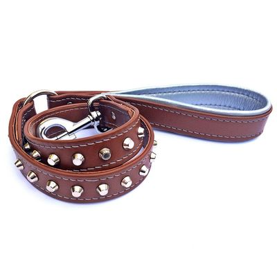 Die Hundeleine Crown aus weichem Leder