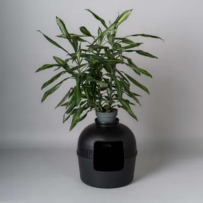 RHR Quality Bac à litière Flower XXL