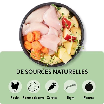 PUJA Premium nourriture humide pour chiens avec poulet et légumes