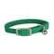 doogy Collier nylon élastique pour chat vert